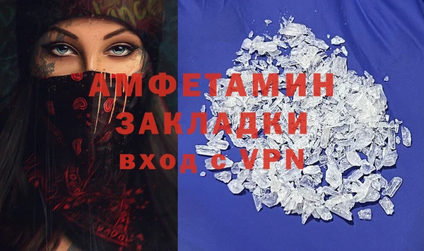 мдпв Вяземский