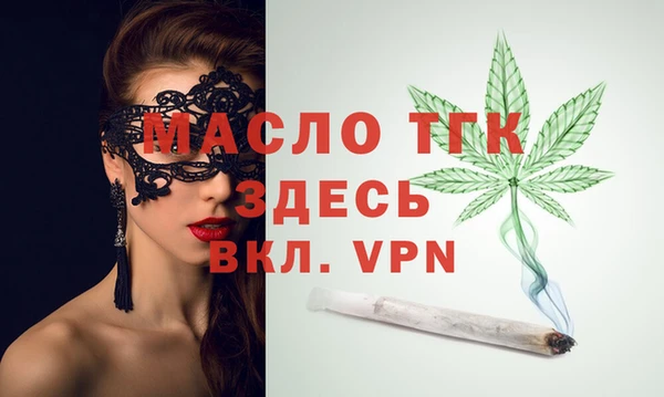 мдпв Вяземский