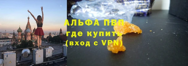 мдпв Вяземский