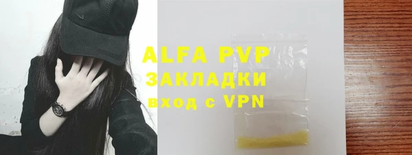 мдпв Вяземский