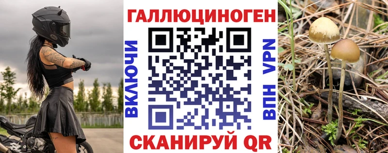 Псилоцибиновые грибы мицелий  Купить закладки  Армянск 